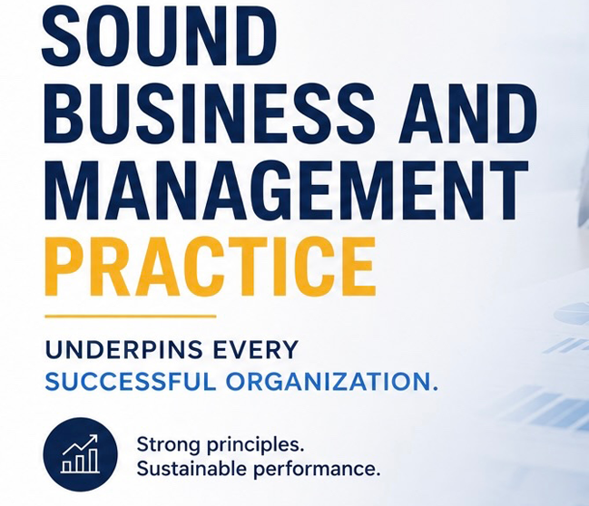 Business Strategy and Organizational Excellence